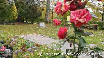 Dieses Geheimnis hütet der Friedhof in Nienstedt am Harz