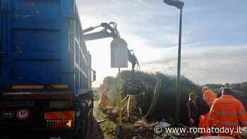 Al via la rimozione di 100 tonnellate di rifiuti dalla Litoranea: ora servono le telecamere