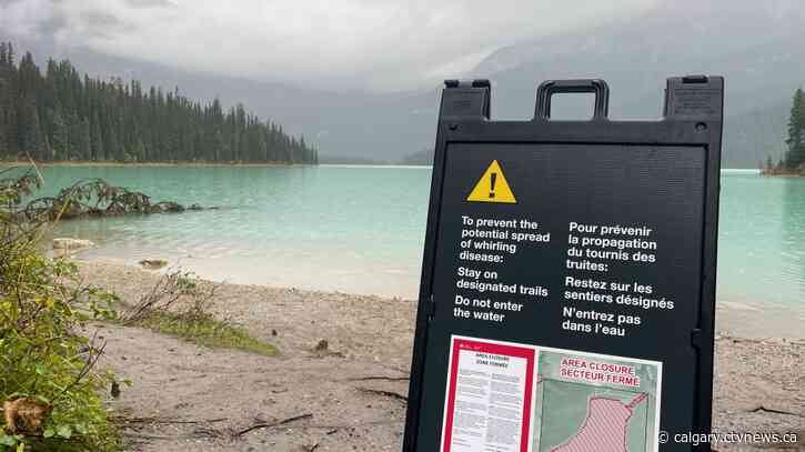 Lakes in Yoho, Kootenay National Parks closed due to suspected whirling disease