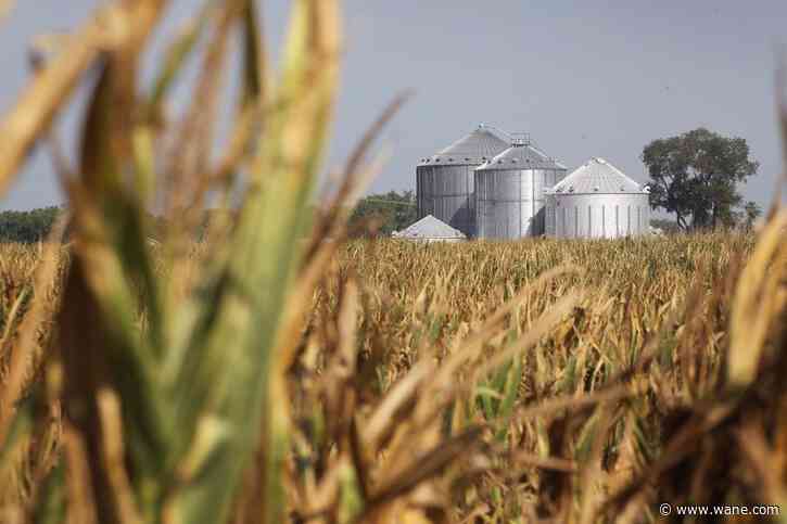VIDEO: Corn mazes require heavy planning and A-MAIZE-ING creativity