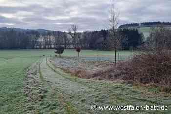 Himmighausen: Bürger freuen sich auf ihren Radweg