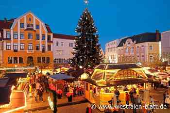 Herford: Auch dieses Jahr eine große Tanne für das „Weihnachtslicht“