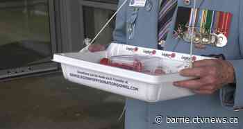 Simcoe County Legion branches begin annual Poppy campaign