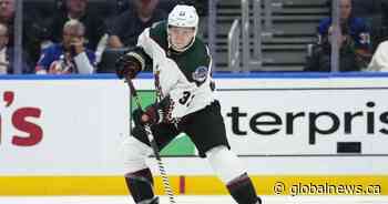 ‘Had to be done’: Travis Dermott on using Pride Tape, forcing NHL’s hand