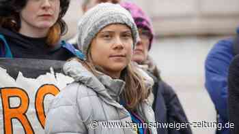 Antisemitismus bei Fridays for Future: „Gefahr für Schüler“