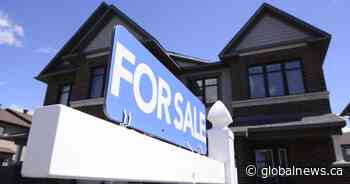 Lack of affordable housing keeps some Calgarians in dangerous situations