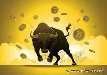 The Hidden Signals: Bitcoin’s On-Chain Data Points To Bullish Outlook, But There’s A Catch