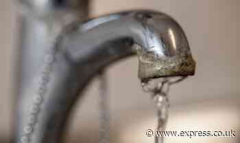 Limescale 'comes off' bathroom fittings easily with 2p method revered by Mrs Hinch fans