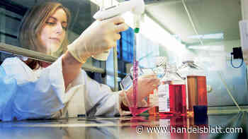 Dax, MDax, SDax: Morphosys, Kion, Süss Microtec – Die Gewinner und Verlierer der Börsenwoche