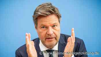 Grüne fordern mehr Geld für Bundeswehr