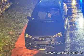 Borgentreich: Auto kollidiert mit Dachs