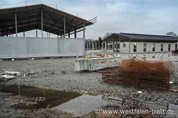 In Bielefeld wird doch nicht gemauschelt!