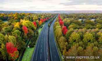 Beautiful tribute to soldiers in A3’s Canadian maples