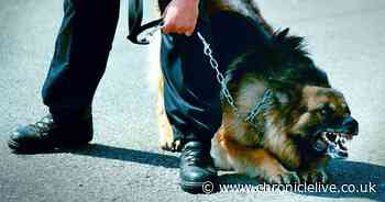 Police expert warns there are two things you should never do when attacked by an out of control dog