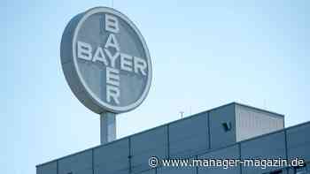 Unkrautvernichtungsmittel Glyphosat: Bayer zu 175 Millionen Dollar Strafe verurteilt