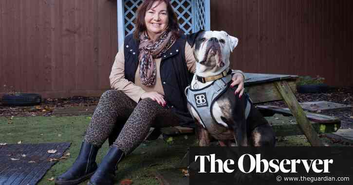 Animal refuges in Britain are ‘full to bursting’ as owners give up pets in cash crisis