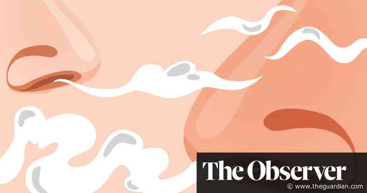 ‘Giving computers a sense of smell’: the quest to scientifically map odours