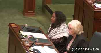 Hundreds gather in support of Hamilton MPP Sarah Jama in virtual rally