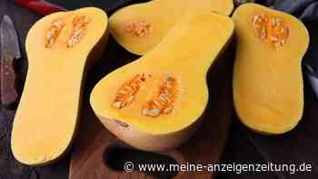 Orange oder gelb? An der Kürbisfarbe können Sie erkennen, wie gesund das Exemplar ist