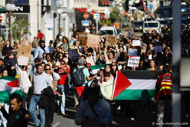 "Gaza, Nice est avec toi": plus de 300 personnes ont défilé ce samedi durant la manifestation autorisée