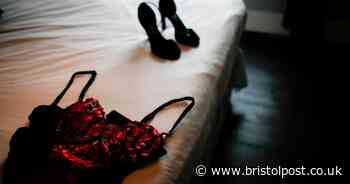 Sex entertainment clubs in North Somerset are 'exploiting' women, council told