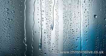 Shoppers discover £2.59 solution to eradicate condensation - and it heats your home too