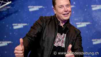 Elon Musks X will 19 Euro für Abo ohne Werbung