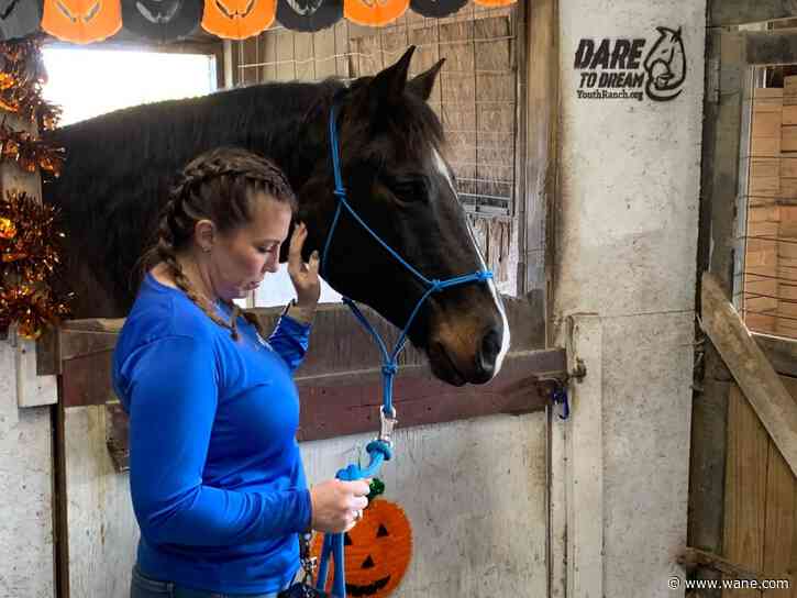 Dare to Dream Youth Ranch hosts 'Fall at the Stall'