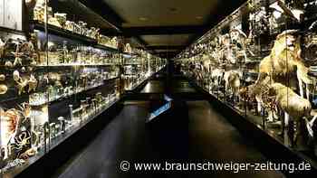 Aktivitäten drinnen für die ganze Familie in Braunschweig