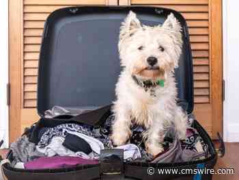 From Generative AI to Accelerator: Unpacking Sitecore's Latest Product Announcements