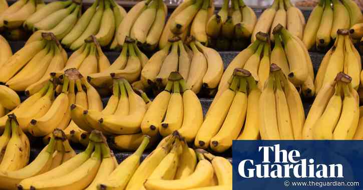 UK accused of plan to further cut cost of bananas at expense of poorest African producers