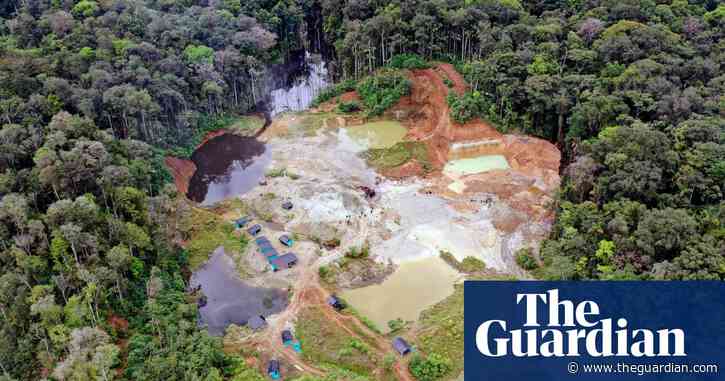 Environmental crime money easy to stash in US due to loopholes, report finds