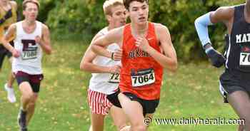 Cross country: York girls, WW South boys win sectional titles at Lake Park
