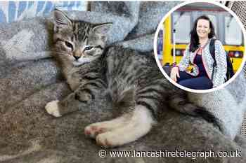 Blackburn mum and daughter fundraising to save kitten
