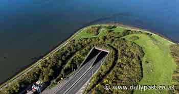 Epic view of A55 tunnel that fooled some and left others scared witless
