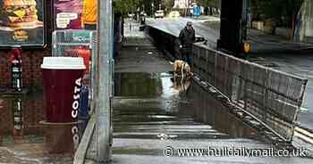 Hull and East Yorkshire flooding and weather live as major A1079 Beverley Road closed