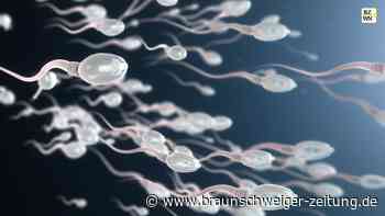Forschung: Spermien brechen die Regeln der Physik