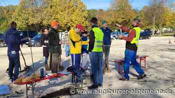 Das große Bäumeverschenken macht Ulm ein bisschen grüner