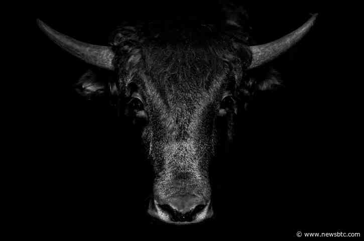 Bitcoin Bull Market: Crypto Spot Trading Volumes Climb To 8-Month Highs