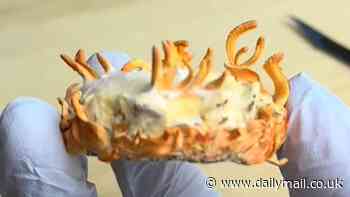 Mushroom enthusiast grows zombie fungus on his own BLOOD and SKIN - and then eats it