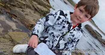Message in a bottle sent from Northumberland beach by grieving great-grandson washes up in Denmark