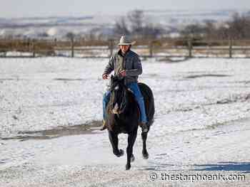 Bull riding a life-long love for Saskatchewan's Weston Davidson