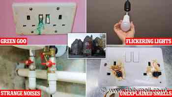 Halloween horrors DEBUNKED: Scientists reveal the simple explanations for paranormal activity - from flickering lights to green goo