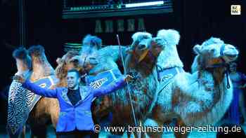 Zirkus in Gadenstedt: Luftiger Balanceakt auf dem Stühleturm