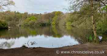 North East students making hair-raising horror film inspired by eerie Northumberland legend