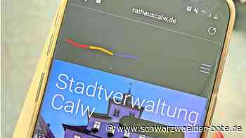 Calwer Internetauftritt umgestaltet: OB „bastelt“ neue Homepage selbst