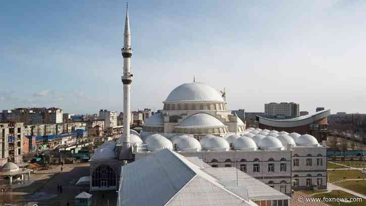 Pro-Palestinian rioters storm Russian airport, flood runway looking for Israeli flight: officials