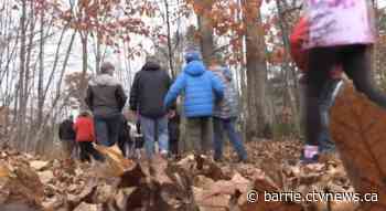 Step Up for Down Syndrome walk helps to raise thousands in Simcoe County