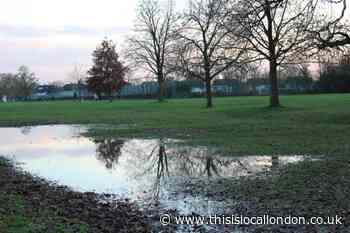 Young Reporter-The Hidden park of North-West London-Elijah PillemerJFS
