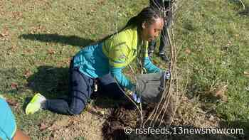 Volunteers plant dozens of trees at Suffolk's Sleepy Hole Park